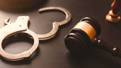 6284 Sayılı Kanun Nedir? Maddeleri Nelerdir?