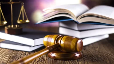 marka tescili nedir ve neden onemlidir